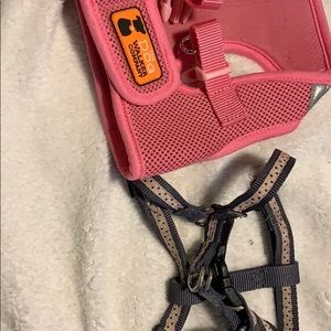 2 dog harnesses